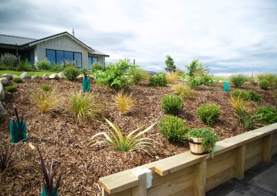 Tidy up gardens Kapiti