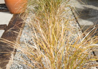 Kapiti landscape gardeners