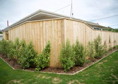 Garden maintenance Kapiti