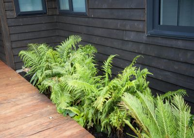 Garden maintenance Kapiti