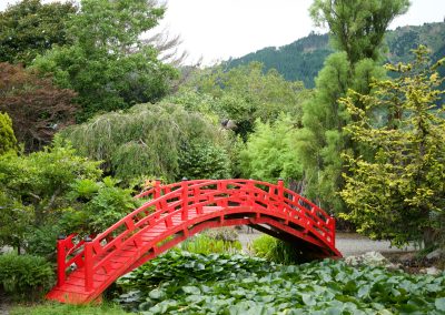 Tidy up gardens Kapiti