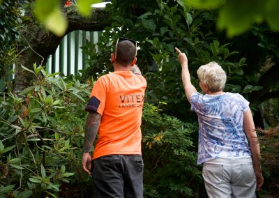 Kapiti landscape gardeners