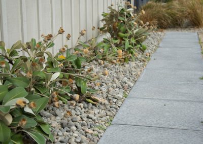 gardening kapiti