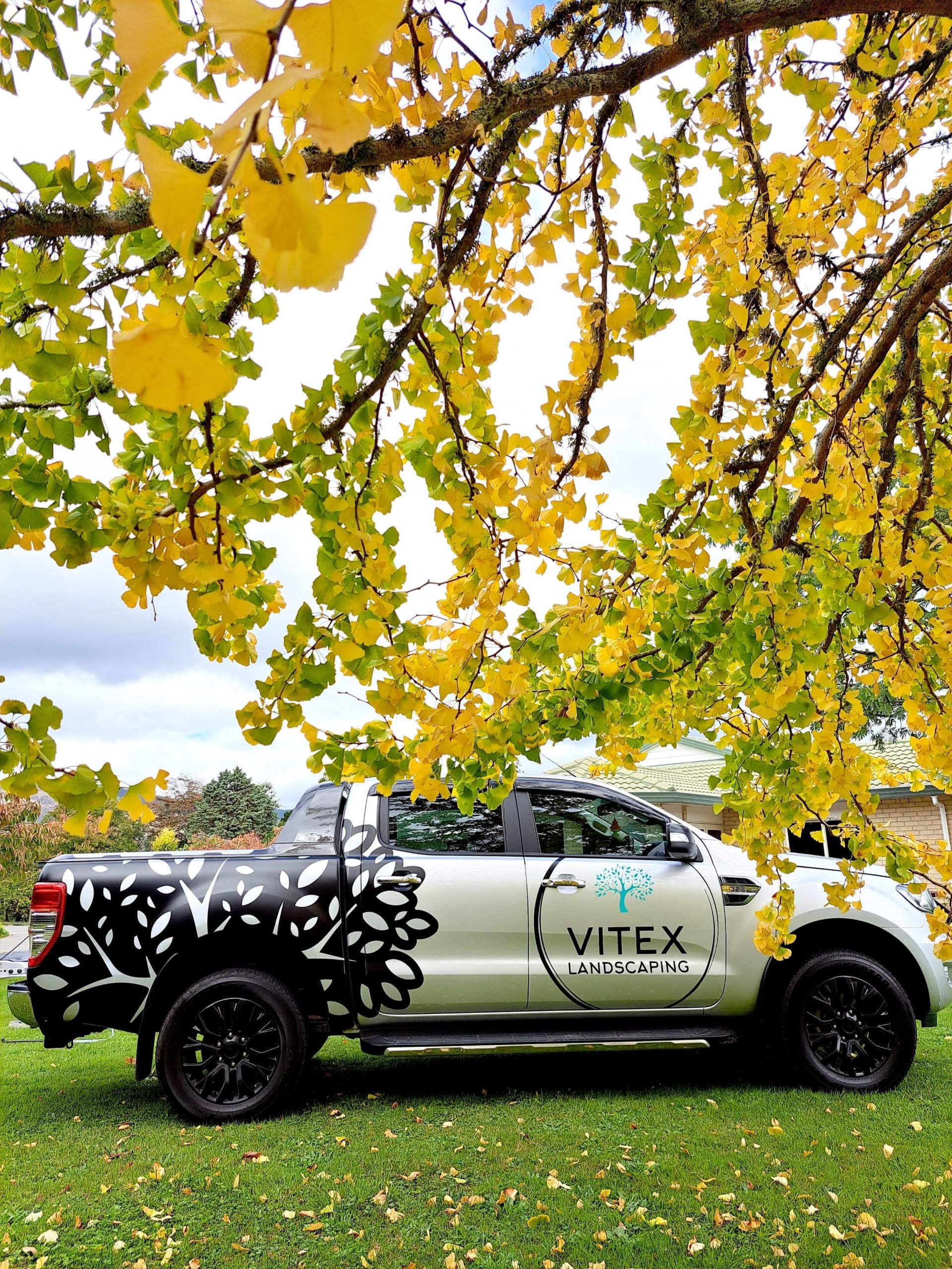 vitex-landscaping-1